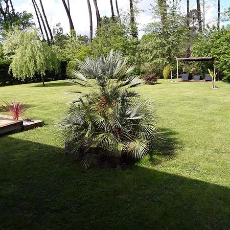 Chambre D'Hotes Les Iris A Mios Sur Le Bassin D'Arcachon ภายนอก รูปภาพ